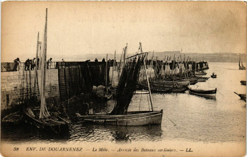 Carte postale ancienne Le Mole - Arrivée des Bateaux sardiniers Env. de Douarnenez à Douarnenez