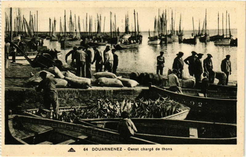 Carte postale ancienne Douarnenez - Canot charge de thons à Douarnenez