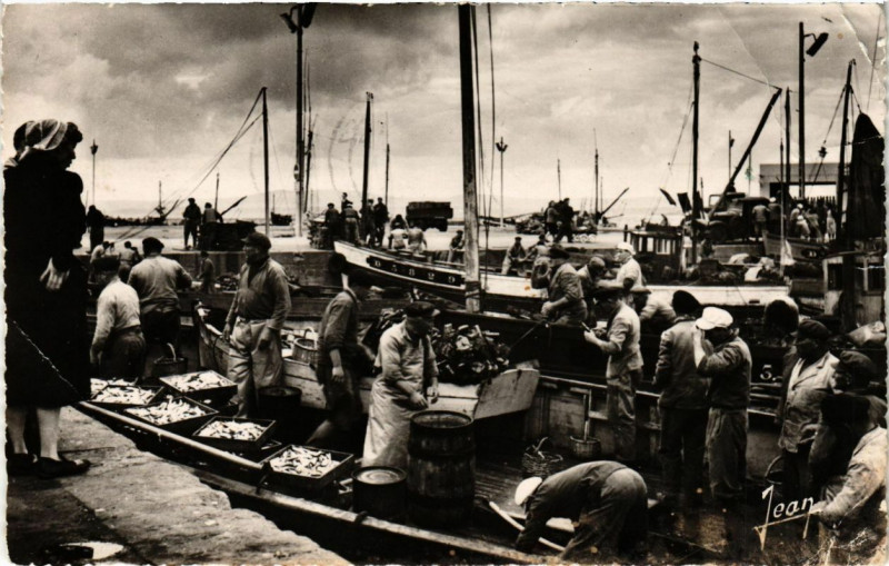 Carte postale ancienne Douarnenez (Finistere) - Deabarquement de la Sardine à Douarnenez