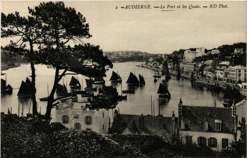 Carte postale ancienne Audierne - Le Port et les Quais à Audierne