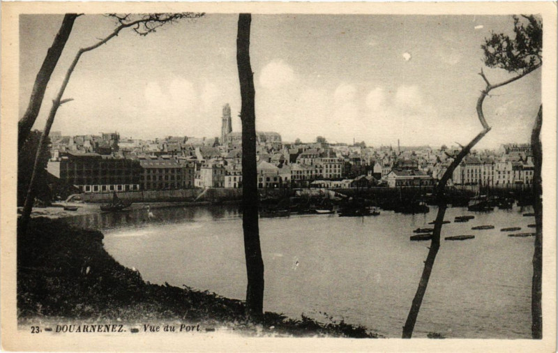 Carte postale ancienne Douarnenez - Vue du Port à Douarnenez