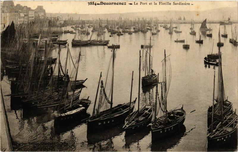 Carte postale ancienne Douarnenez - Le Port et la Flotille Sardiniere à Douarnenez