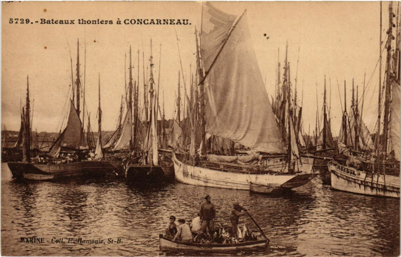 Carte postale ancienne Bateaux thoniers a Concarneau à Concarneau