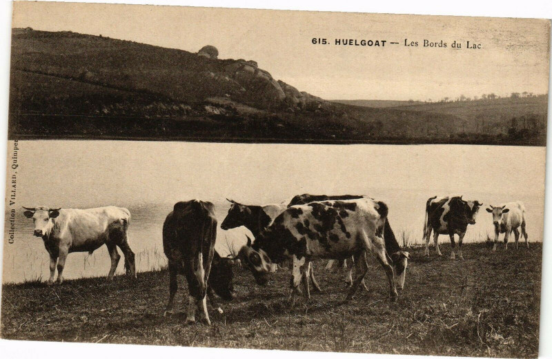 Carte postale ancienne Huelgoat - Les Bords du Lac à Huelgoat