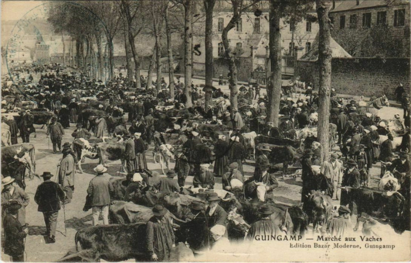 Carte postale ancienne Guingamp - Marché aux Vaches à Guingamp