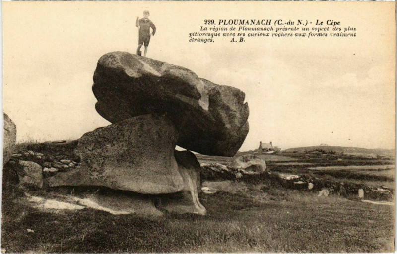 Carte postale ancienne Ploumanach - Le Cepe