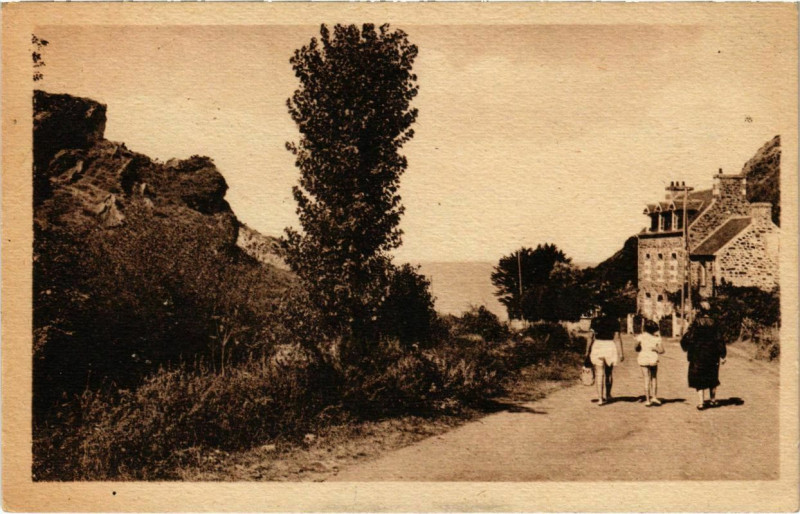 Carte postale ancienne Pleneuf - Greves des Vallées