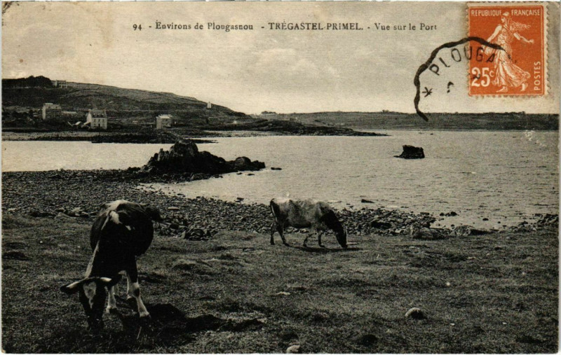Carte postale ancienne Tregastel-Primel - Vue sur le Port à Trégastel