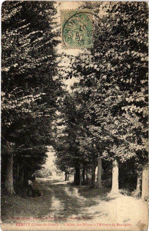 Carte postale ancienne Kerity - L'Allée des Hetres