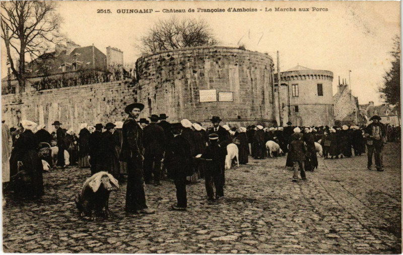 Carte postale ancienne Guingamp - Chateau de Francois d'Amboies à Guingamp