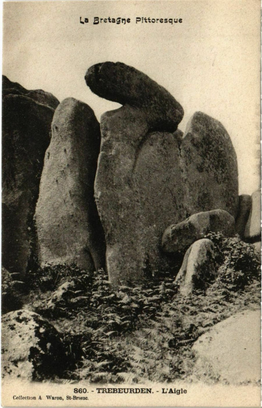 Carte postale ancienne Trebeurden - L'Aigle à Trébeurden