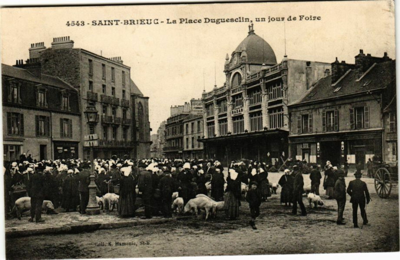 Carte postale ancienne Saint-Brieuc - La Place Duguesclin un jour de Foire à Saint-Brieuc