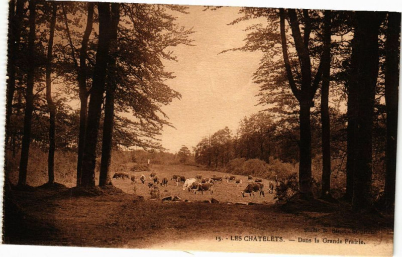 Carte postale ancienne Les Chatelets - Dans le Grande Prairie