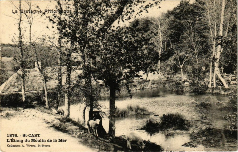 Carte postale ancienne Saint-Cast-L'Etang du Moulin de la Mer