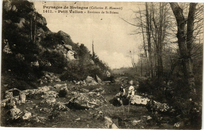 Carte postale ancienne Petit Vallon-Environs de Saint-Brieuc à Saint-Brieuc