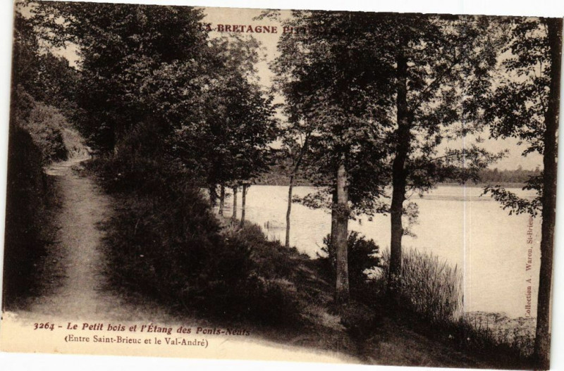 Carte postale ancienne Le Petit bois et l'Etang des Ponts Neufs