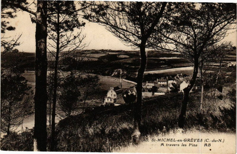 Carte postale ancienne Saint-Michel-en-GREVEs-A travers les Pins