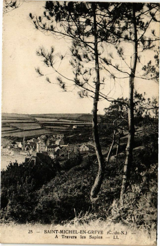 Carte postale ancienne Saint-Michel-en-Greve-An Travers les Sapins