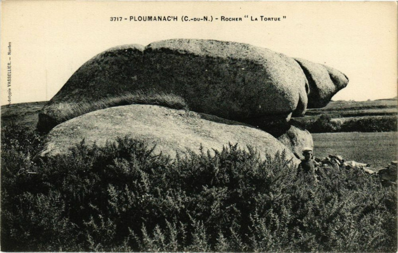 Carte postale ancienne Ploumanach-Rochers La Tortue