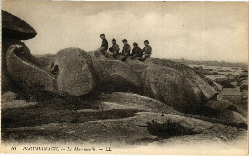 Carte postale ancienne Ploumanach-Le Mammouth