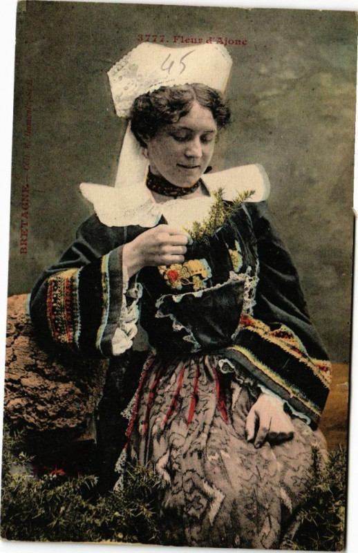 Carte postale ancienne Fleur d'Ajonc