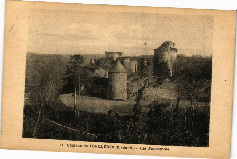 Carte postale ancienne Chateau de Tonquedec-Vue d'ensemble