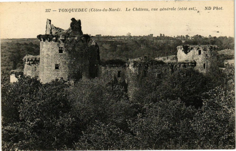 Carte postale ancienne Tonquedec-Le Chateau-Vue générale à Tonquédec