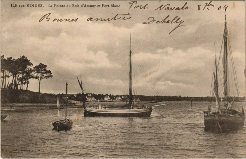 Carte postale ancienne Ile-aux-Moines Pointe du Bois d'Amour à Île-aux-Moines