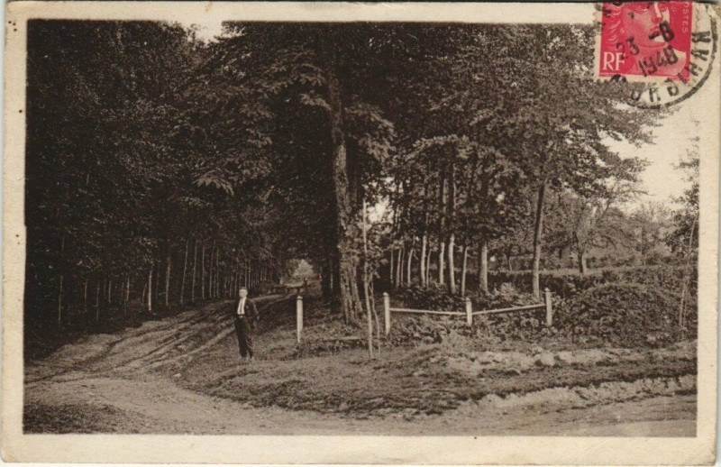 Carte postale ancienne Mauron Allée du bois du Plessis à Mauron