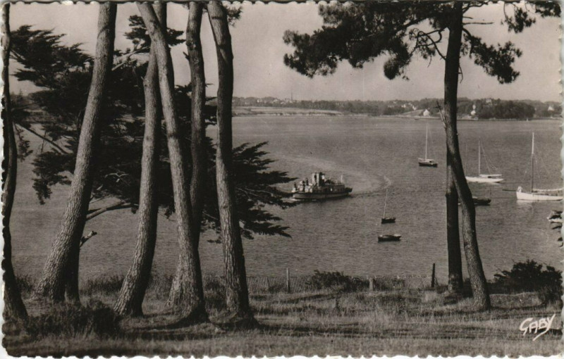 Carte postale ancienne Ile-aux-Moines Bois d'Amour à Île-aux-Moines