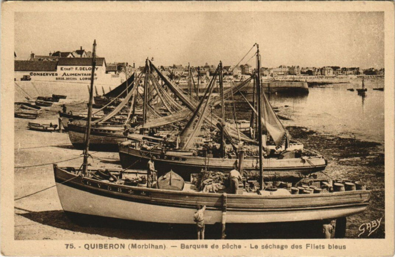 Carte postale ancienne Quiberon Barques de peche à Quiberon