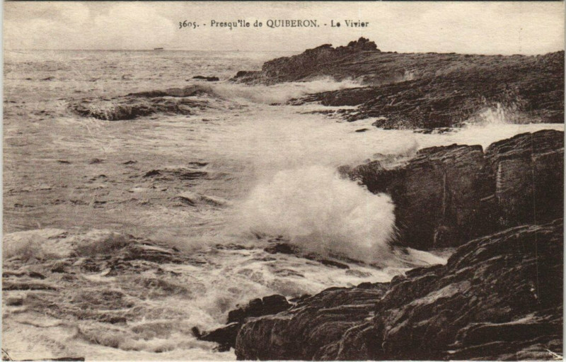 Carte postale ancienne Presqu'ile de Quiberon Le Vivier à Quiberon