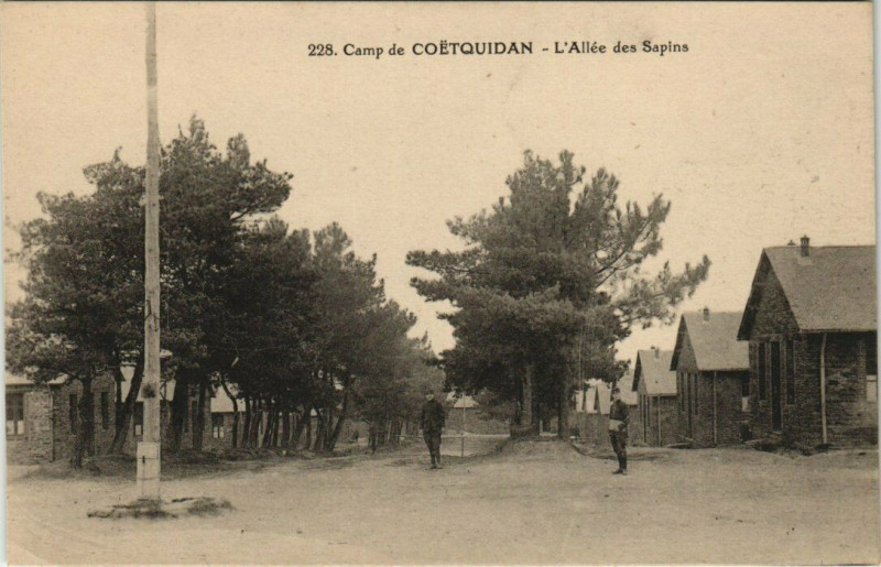 Carte postale ancienne Camp de Coetquidan Allée des Sapins