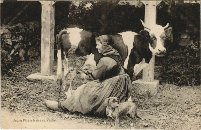 Carte postale ancienne Jeune Fille a traire Vache