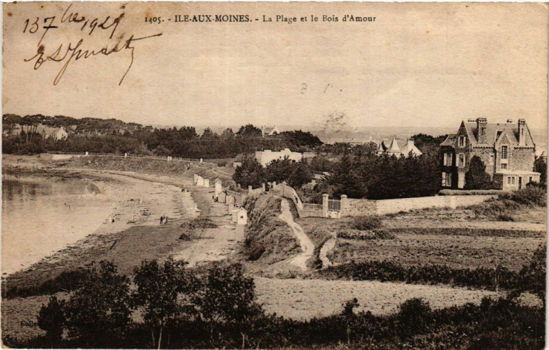 Carte postale ancienne Ile-aux-Moines - La Plage et le Bois d'Amour à Île-aux-Moines