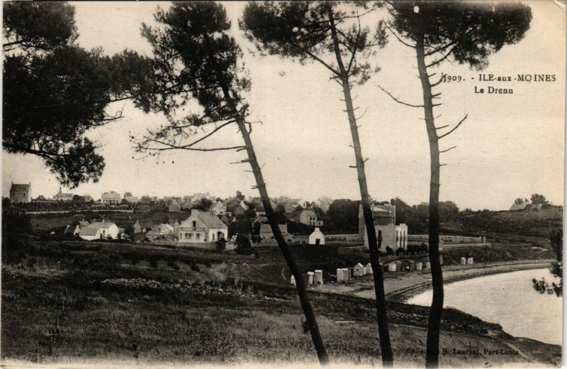 Carte postale ancienne Ile-aux-Moines - Le Drenn à Île-aux-Moines