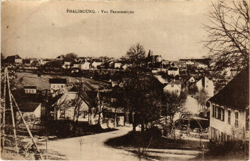 Carte postale ancienne Phalsbourg - Vue panoramique