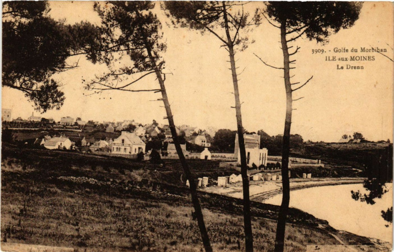 Carte postale ancienne Golfe du Morbihan - Ile-aux-Moines - Le Drenn à Île-aux-Moines