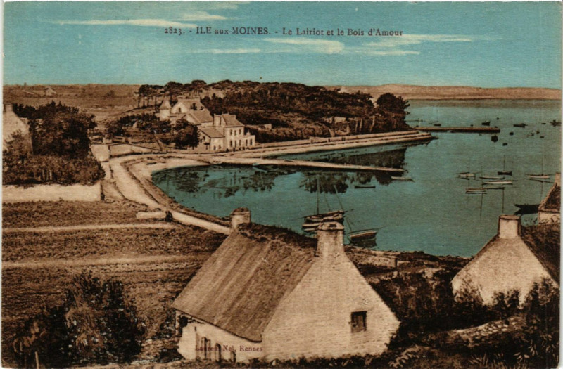 Carte postale ancienne Ileaus Moines - Le Lairiot et le Bois d'Amour