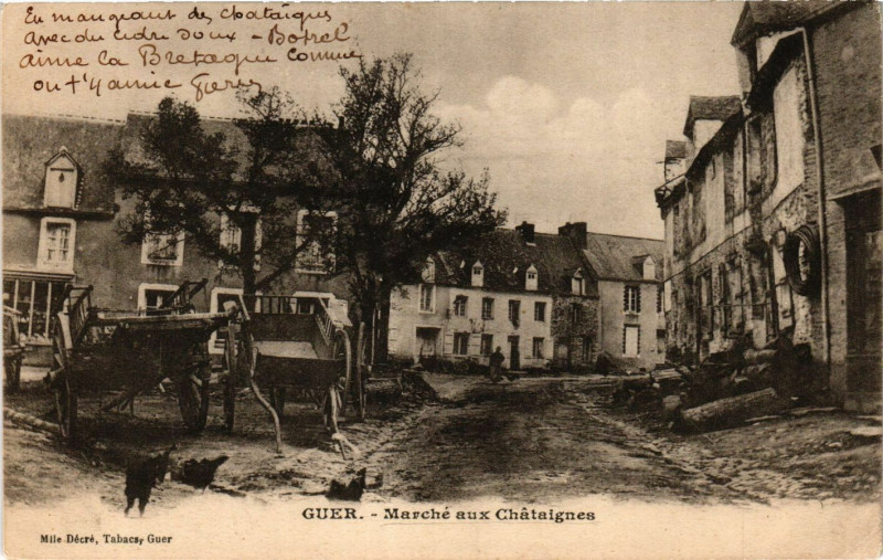 Carte postale ancienne Marché aux Châtaignes à Guer