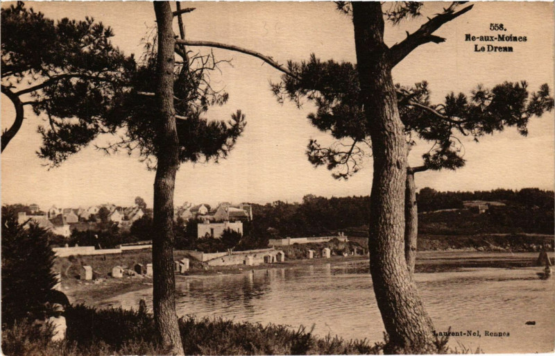 Carte postale ancienne Ile-aux-Moines - Le Dream à Île-aux-Moines