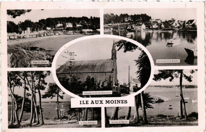 Carte postale ancienne Ile aux Moins