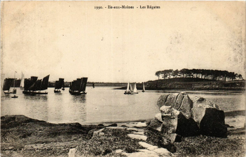 Carte postale ancienne Ile-aux-Moines - Les Regates à Île-aux-Moines