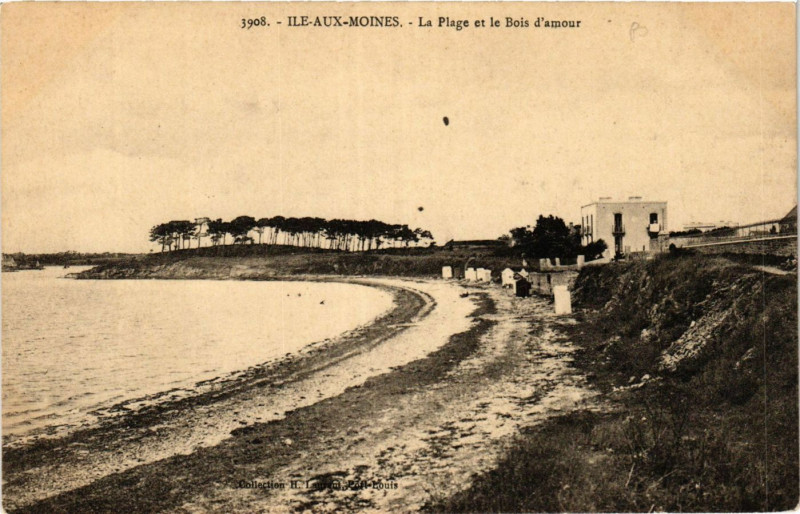 Carte postale ancienne Ile-aux-Moines - La Plage et le Bois d'amour à Île-aux-Moines
