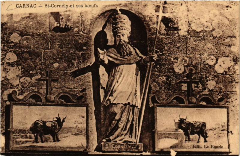Carte postale ancienne Carnac - St-Cornely et ses boeufs à Carnac