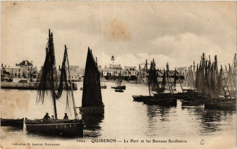 Carte postale ancienne Quiberon - Le Port et les Bateaux Sardiniers à Quiberon