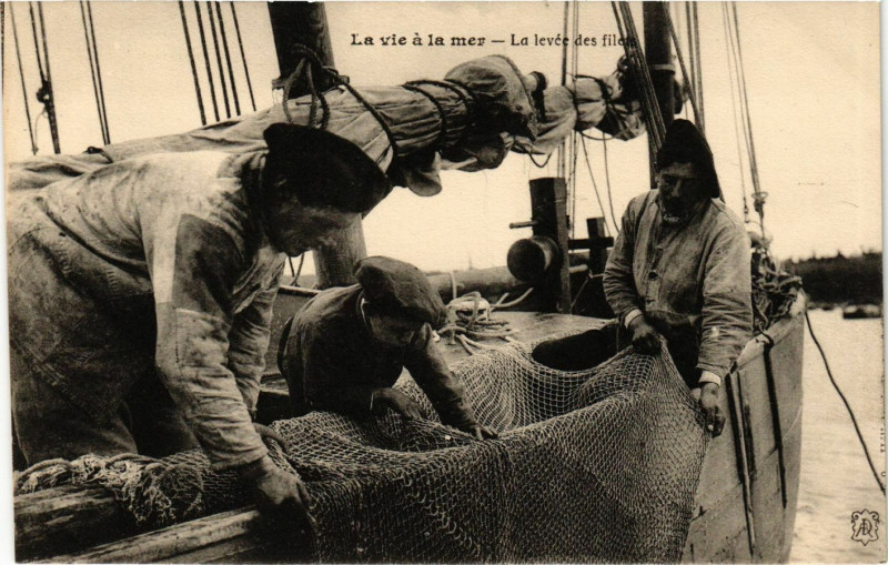 Carte postale ancienne La vie a la mer - La levée des fileds