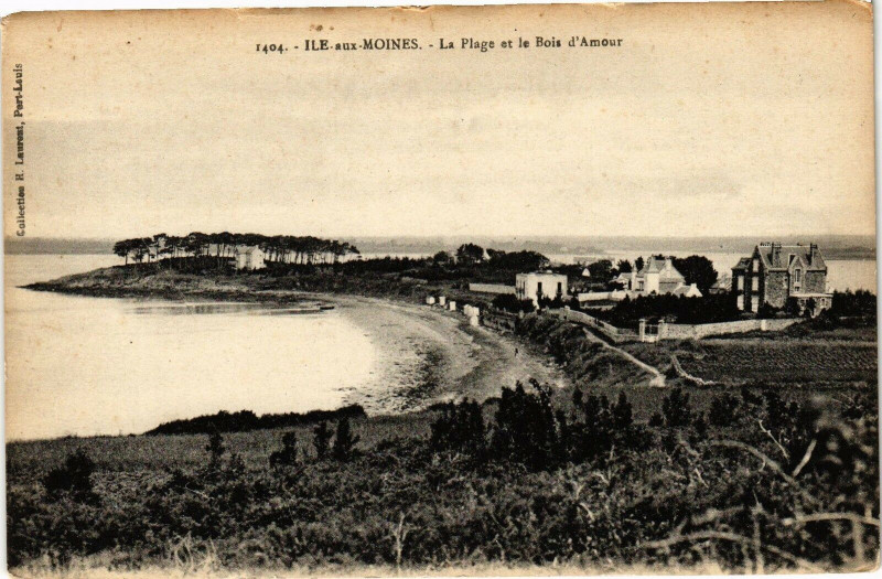 Carte postale ancienne Ile-sur-Moines - La Plage et le Bois d'Amour