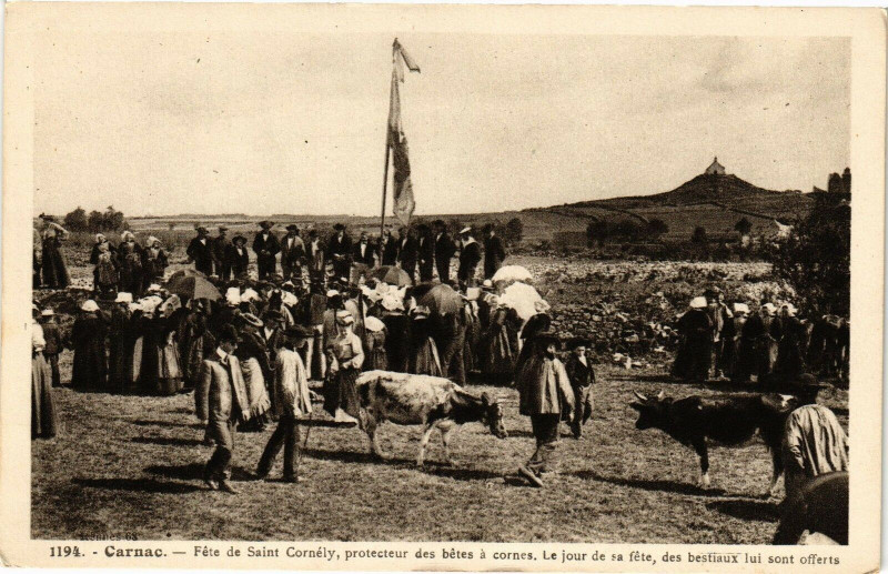 Carte postale ancienne Carnac - Fete de St-Cornely protecteur des betes a cornes.... à Carnac
