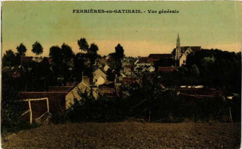 Carte postale ancienne Ferrieres-en-Gatinais - Vue générale à Ferrières-en-Gâtinais